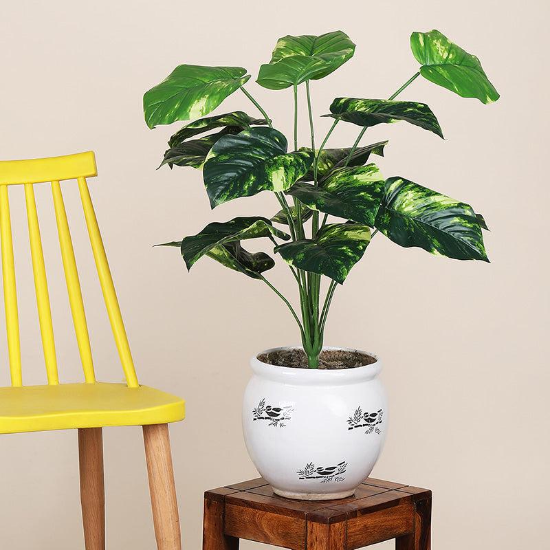 Buy Faux Botanic Money Plant - 2 Feet Artificial Plants from Vaaree