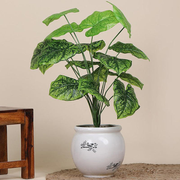 Buy Faux Botanic Dark Green Alocasia Plant - 2 Feet Artificial Plants from Vaaree