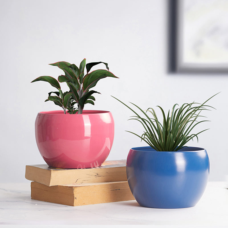 Buy Nectera Metal Planter (Pink/Blue) - Set Of Two Pots & Planters from Vaaree