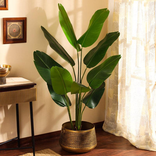 Buy Faux Realistic Banana Plant With Pot - 5.2 Feet Artificial Plants from Vaaree