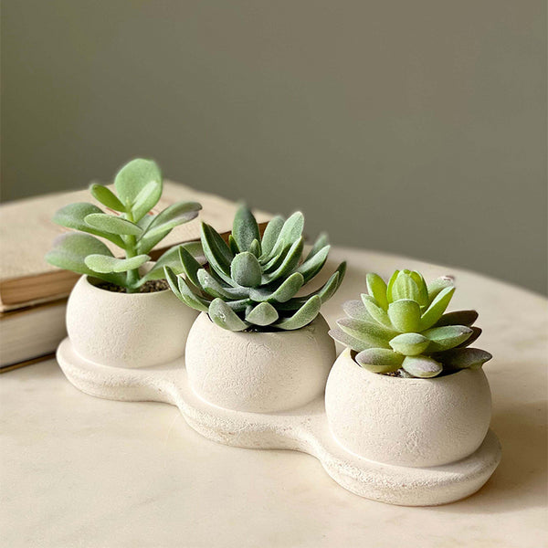 Buy Faux Realtouch Green Trio Succulent Artificial Plants from Vaaree