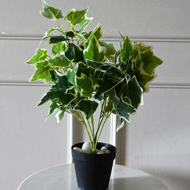 Buy Faux Everlasting English Ivy Plant With Pot - 48 Cms Artificial Plants from Vaaree