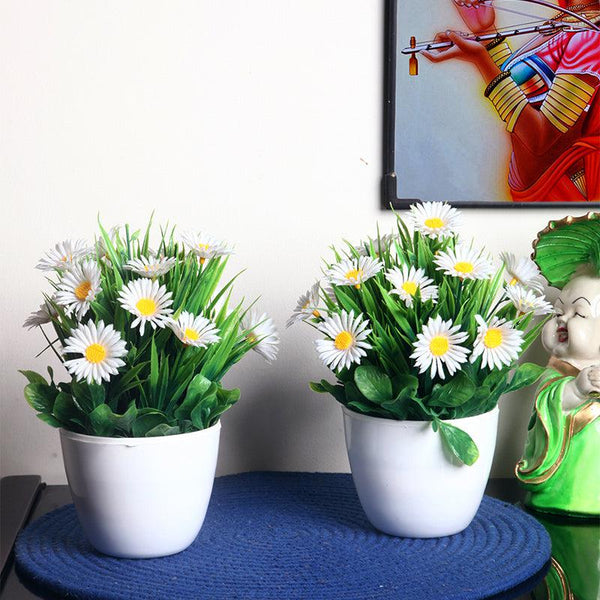 Buy Faux White Daisy Plant With Pot - Set Of Two Artificial Plants from Vaaree