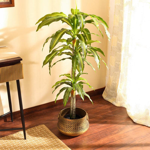 Buy Faux Realistic Dracaena Plant With Pot - 3.9 Feet Artificial Plants from Vaaree