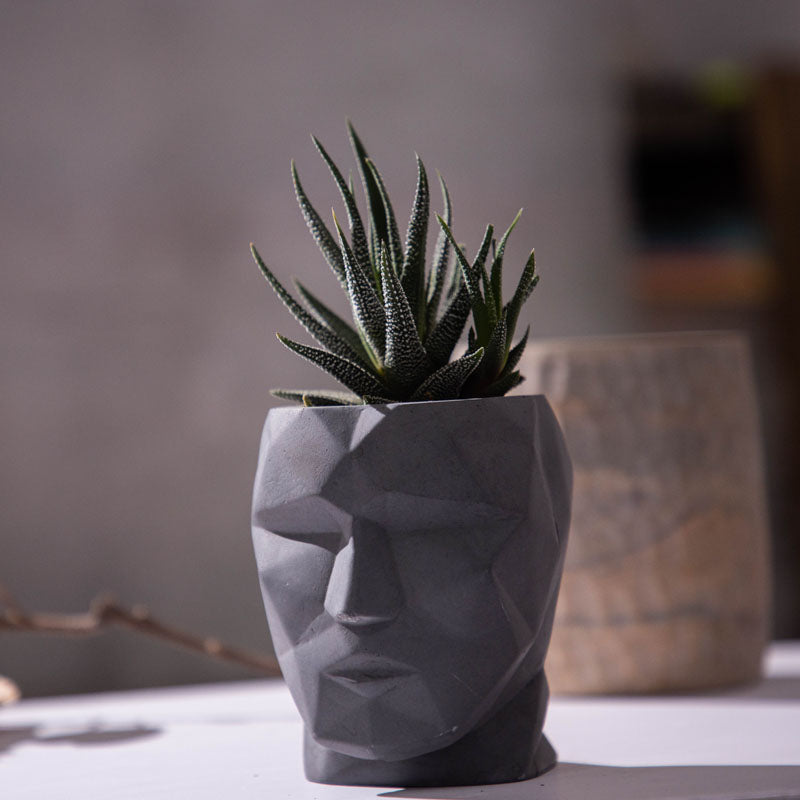 Buy Maxo Face Planter Pots & Planters from Vaaree