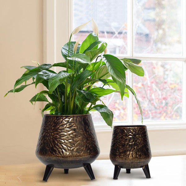 Buy Fleur Metal Planter (Charcoal) - Set Of Two Pots & Planters from Vaaree