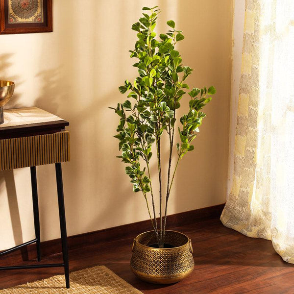 Buy Faux Realistic Schefflera Plant With Pot - 3.9 Feet Artificial Plants from Vaaree