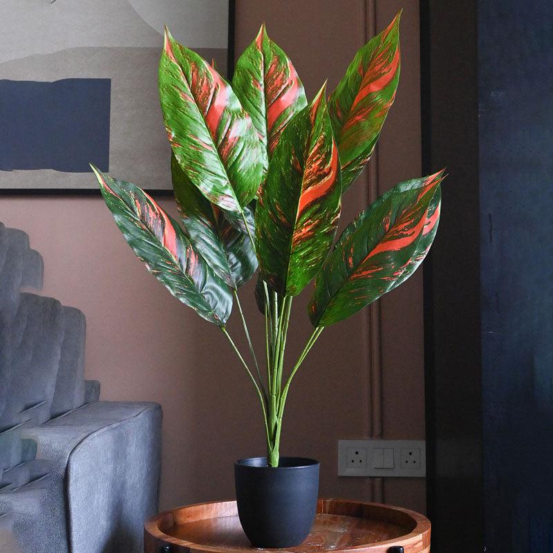 Buy Faux Everlasting Dieffenbachia Red Striped Variegated Plant With Pot - 3.1 Feet Artificial Plants from Vaaree