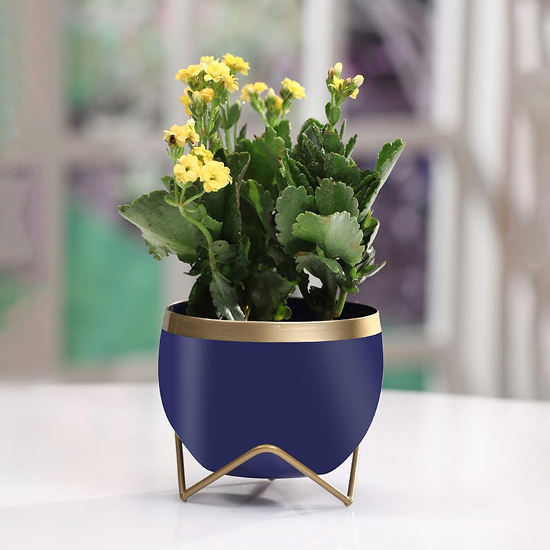 Buy Brita Planter With Stand - Blue Pots & Planters from Vaaree