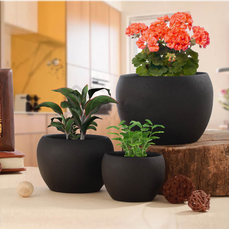 Buy Alisha Handcrafted Matte Planter (Black) - Set Of Three Pots & Planters from Vaaree