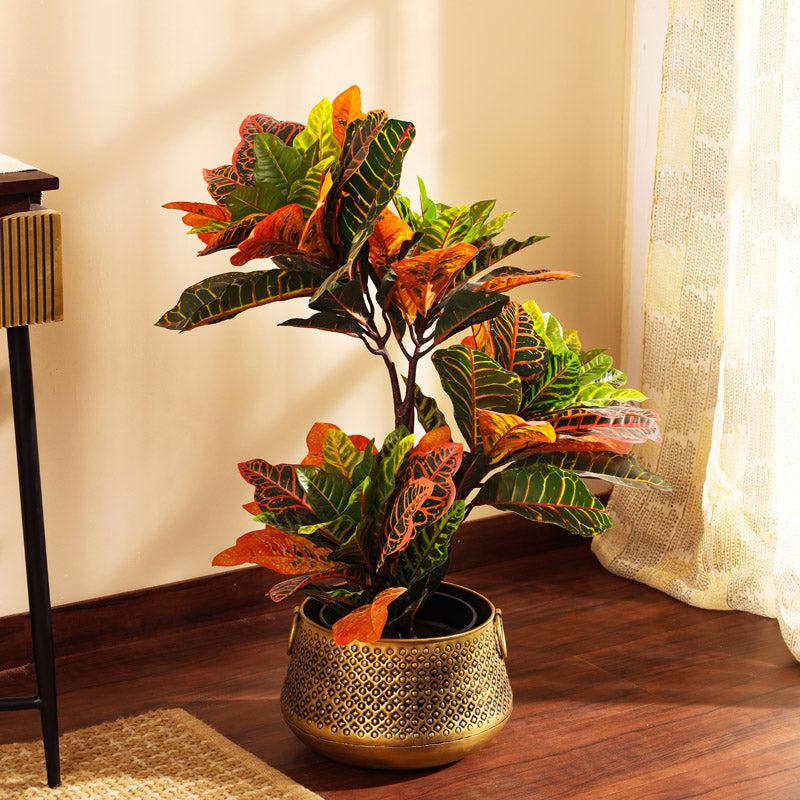 Buy Faux Realistic Croton Plant With Pot - 2.8 Feet Artificial Plants from Vaaree