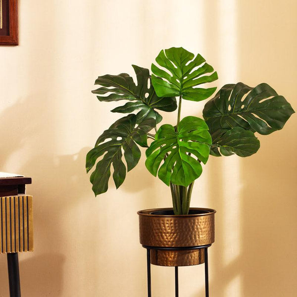 Buy Faux Realistic Monstera Plant in Black Pot Artificial Plants from Vaaree