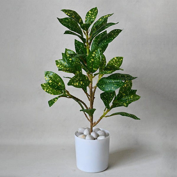 Buy Faux Everlasting Gold Dust Croton Plant With Pot - 46 Cms Artificial Plants from Vaaree