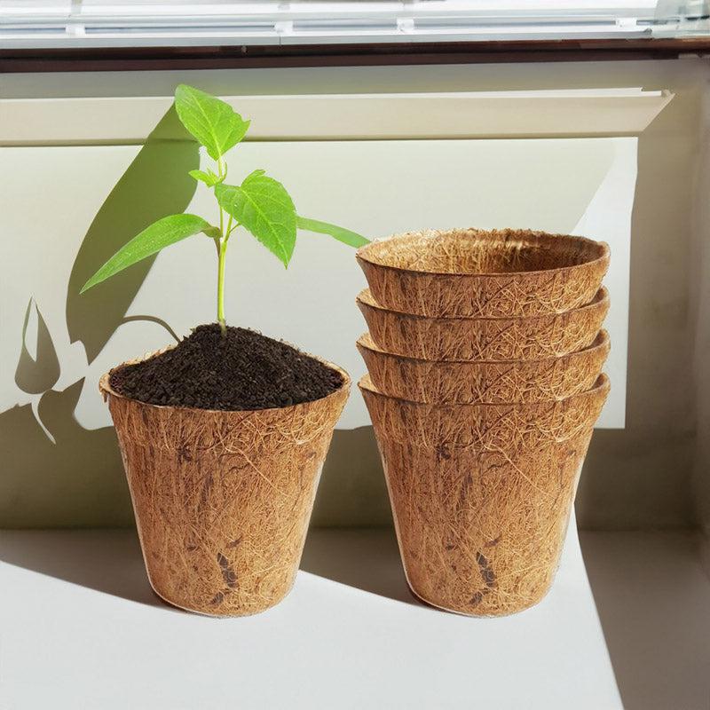 Buy Alsa Coir Pot - Set Of Five Pots & Planters from Vaaree