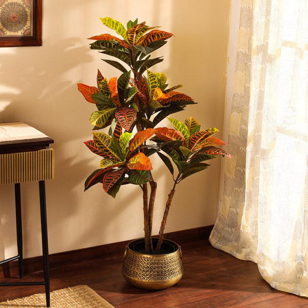 Buy Faux Realistic Croton Plant With Pot - 3.9 Feet Artificial Plants from Vaaree