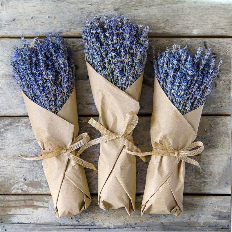 Buy Dried Lavender Flower Stick - Set of Forty Flower Stick Artificial Flowers from Vaaree