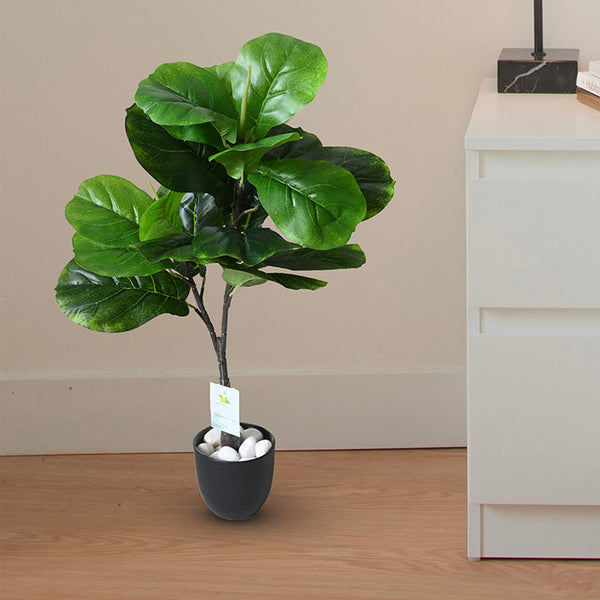 Buy Faux Everlasting Fiddle-Leaf Fig Plant With Pot - 2.4 Feet Artificial Plants from Vaaree