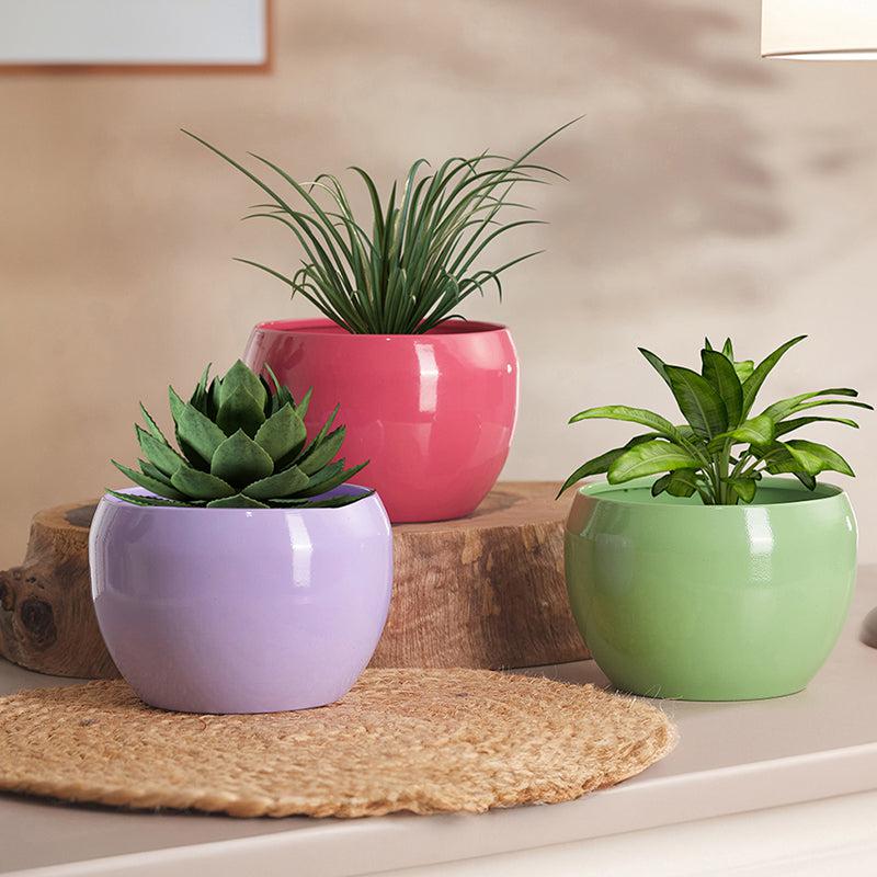 Buy Nectera Metal Planter (Purple/Pink/Green) - Set Of Three Pots & Planters from Vaaree