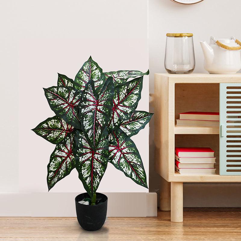 Buy Faux Everlasting Tropical Caladium Plant With Pot - 2.6 Feet Artificial Plants from Vaaree