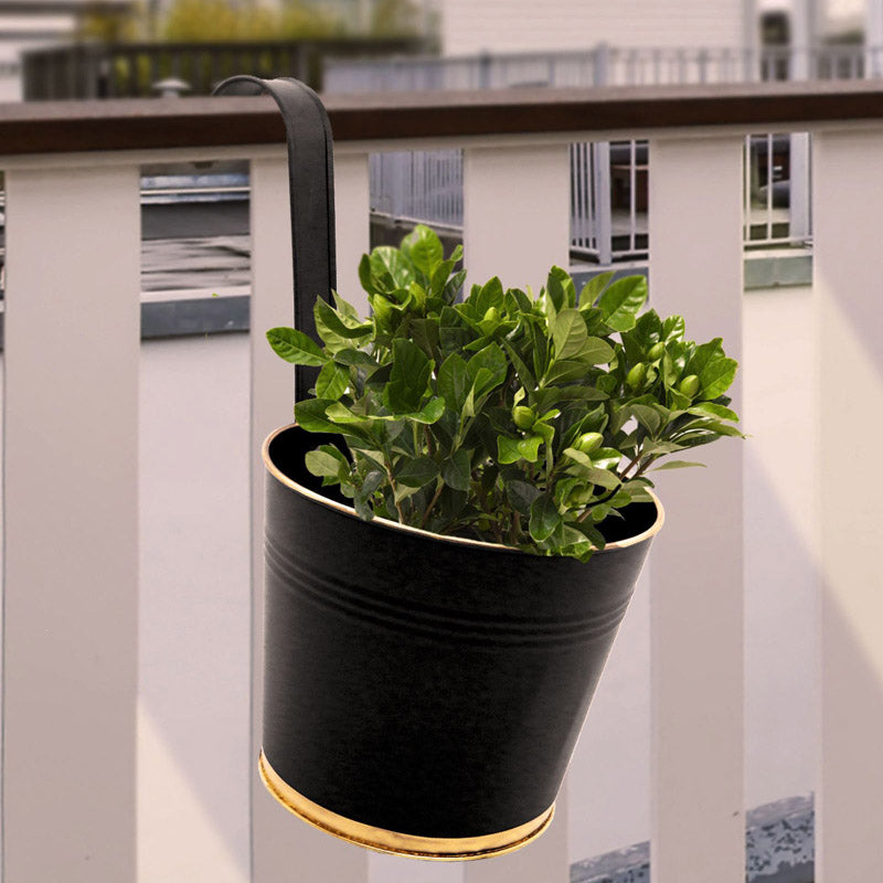 Buy Lush Glow Planter - Black Pots & Planters from Vaaree