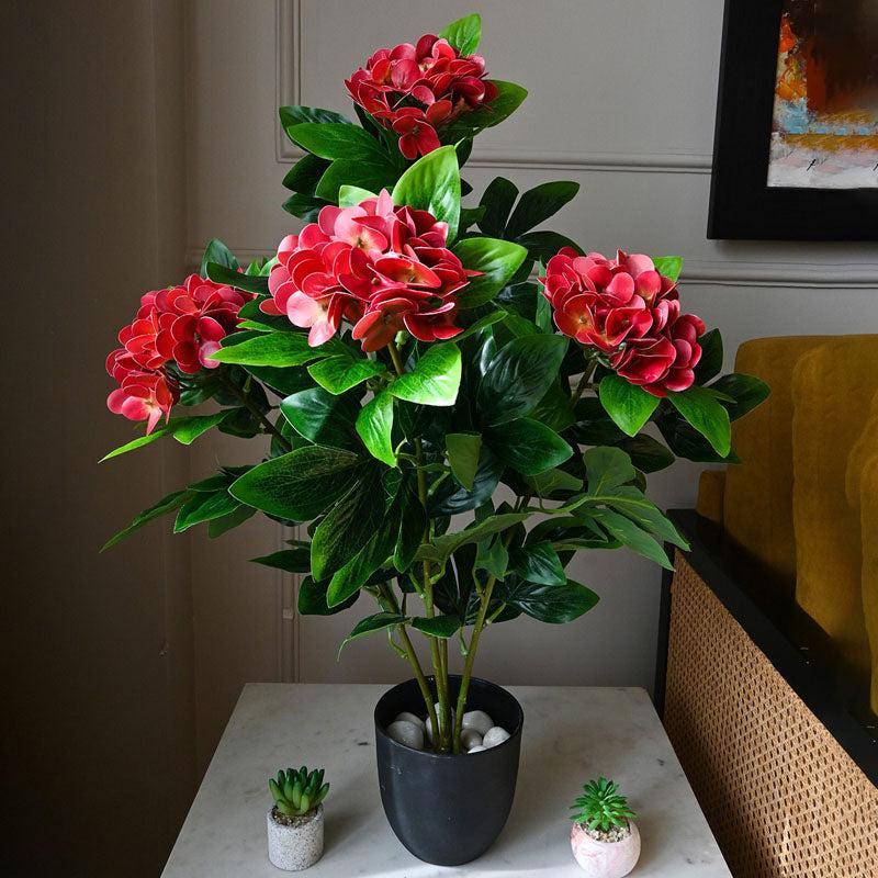 Buy Faux Everlasting Hydrangea Plant With Pot (Dark Red) - 2.5 Feet Artificial Plants from Vaaree