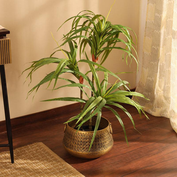 Buy Faux Realistic Dracaena Plant With Pot - 3 Feet Artificial Plants from Vaaree