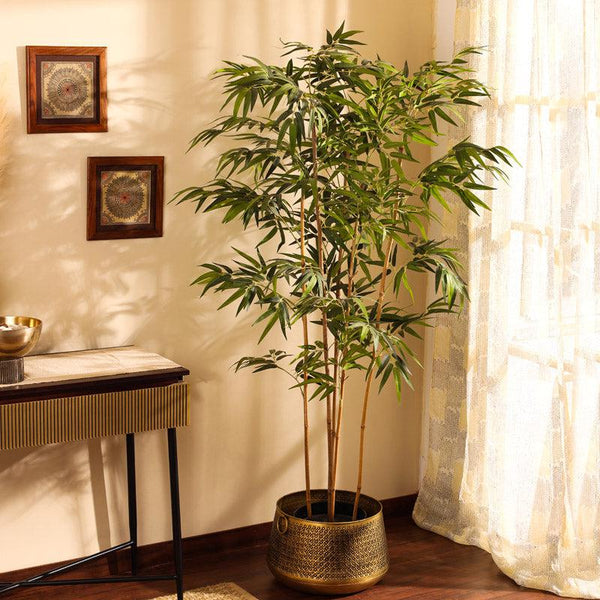 Buy Faux Realistic Bamboo Plant With Pot - 5.9 Feet Artificial Plants from Vaaree