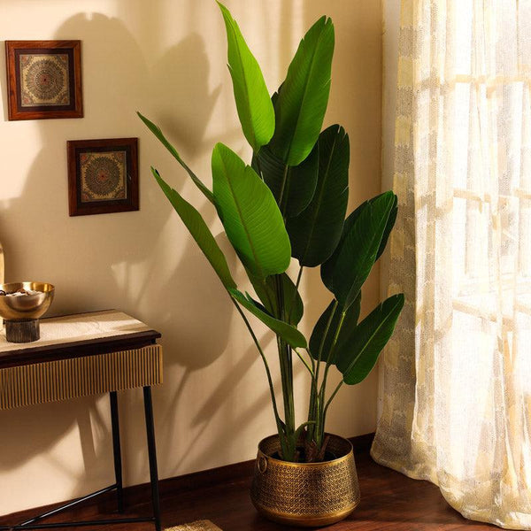 Buy Faux Realistic Banana Plant With Pot - 5.9 Feet Artificial Plants from Vaaree