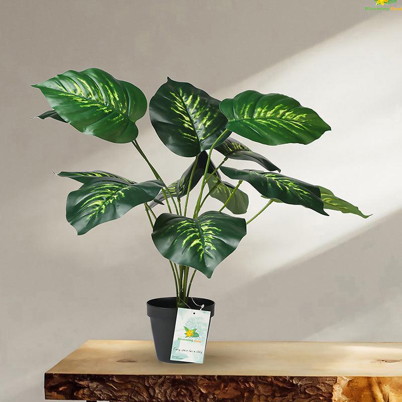 Buy Faux Everlasting Philodendron Plant With Pot - 58 Cms Artificial Plants from Vaaree