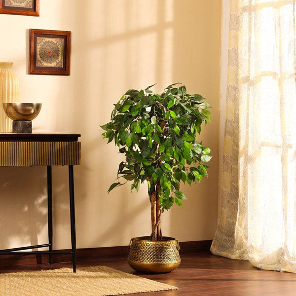 Buy Faux Realistic Ficus Plant With Pot - 3.9 Feet Artificial Plants from Vaaree