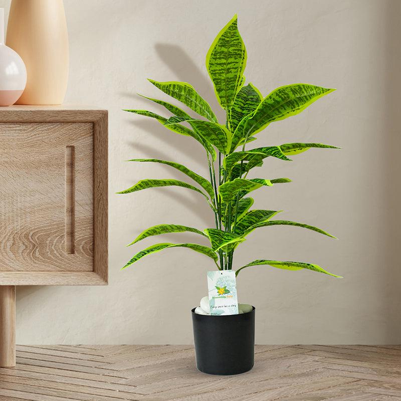 Buy Faux Everlasting Snake Plant With Pot Pot - 2.4 Feet Artificial Plants from Vaaree