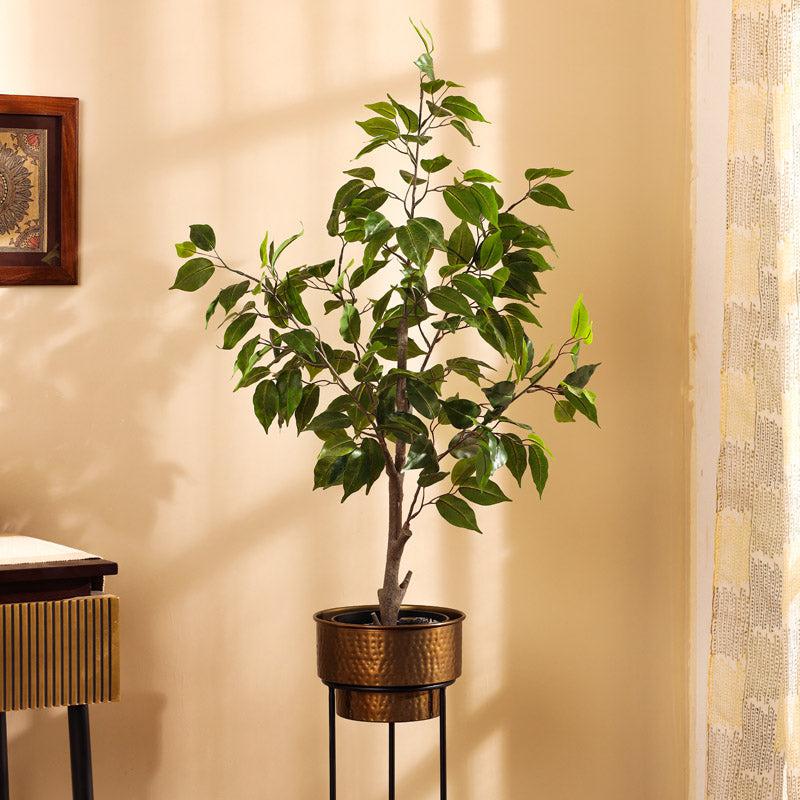 Buy Faux Realistic Ficus Plant With Pot - 3 Feet Artificial Plants from Vaaree