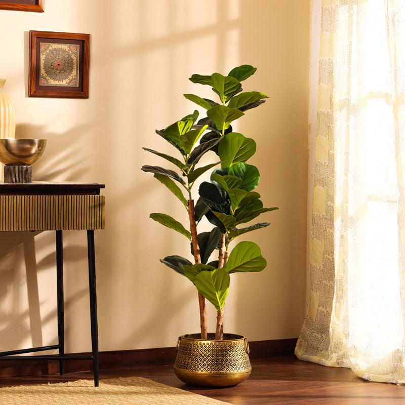 Buy Faux Realistic Fiddle Leaf Fig Plant With Pot - 3.9 Feet Artificial Plants from Vaaree