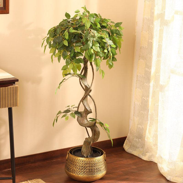 Buy Faux Realistic Ficus Bonsai With Pot - 3.9 Feet Artificial Plants from Vaaree