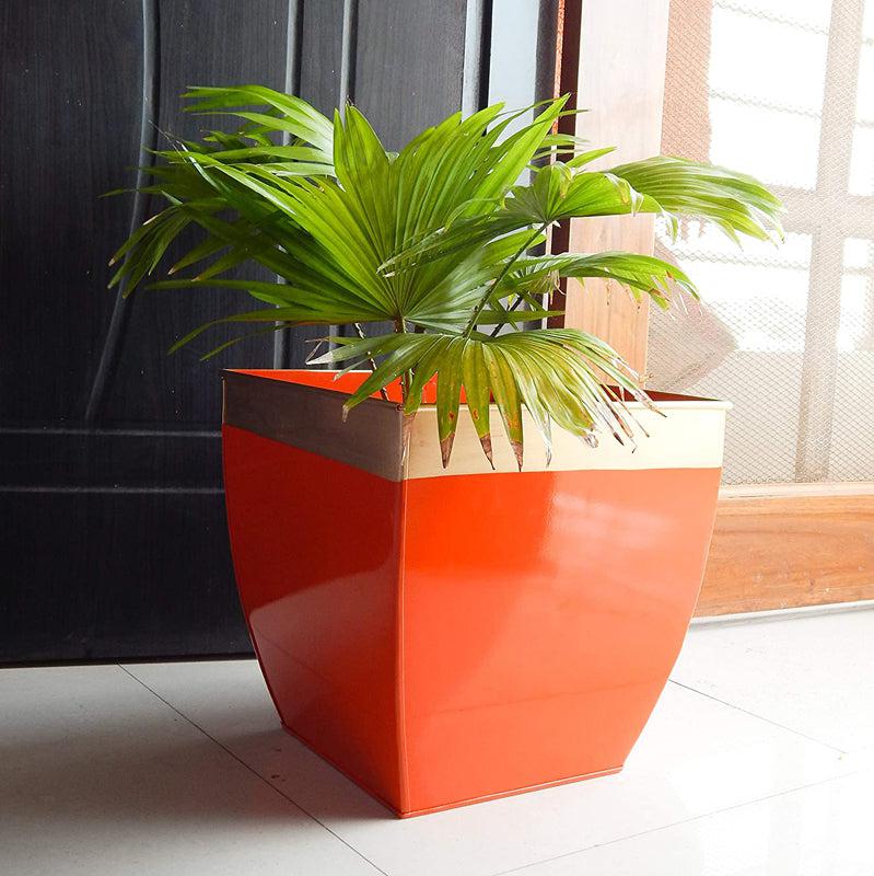 Buy Yula Goldo Planter (Orange) - Set Of Two Pots & Planters from Vaaree