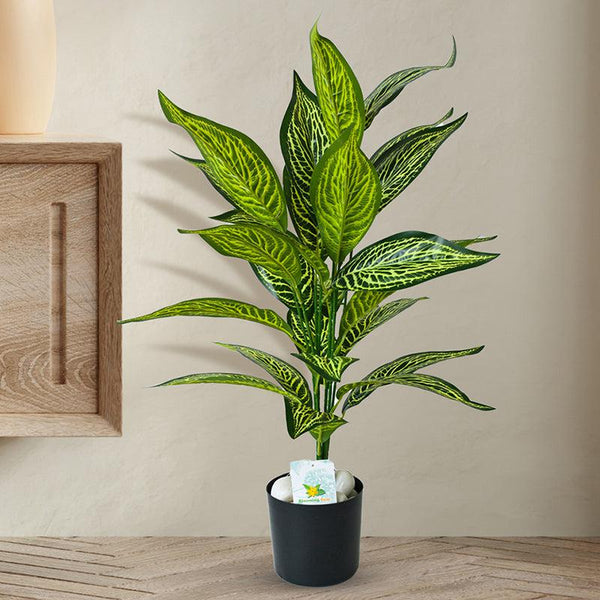 Buy Faux Everlasting White Iceton Croton Plant With Pot - 2.4 Feet Artificial Plants from Vaaree