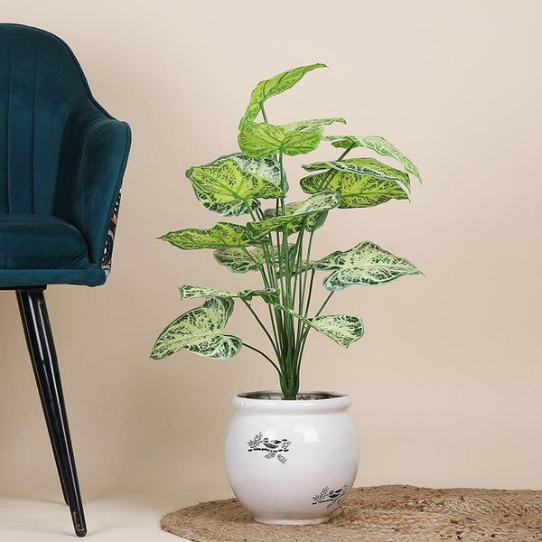 Buy Faux Botanic Light Green Alocasia Plant - 2 Feet Artificial Plants from Vaaree