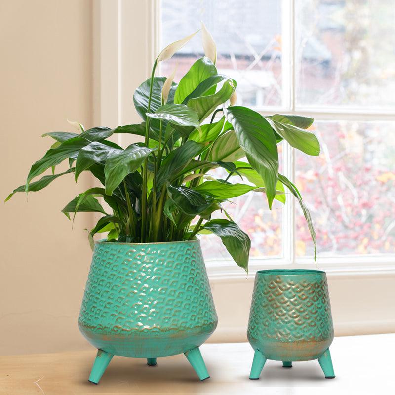 Buy Claro Metal Planter (Green) - Set Of Two Pots & Planters from Vaaree