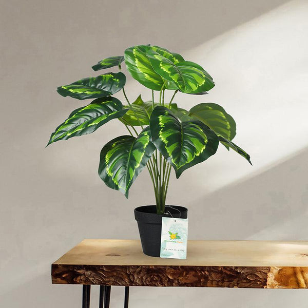 Buy Faux Everlasting Birkin Philodendron Plant With Pot - 58 Cms Artificial Plants from Vaaree