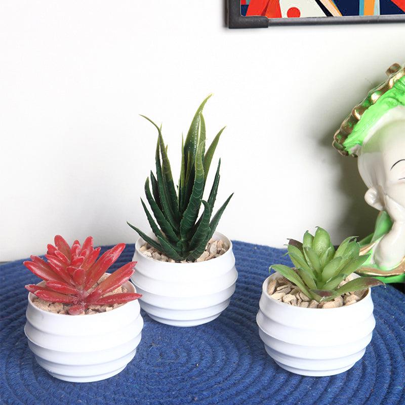 Buy Faux Moonglow Succulent With Pot Artificial Plants from Vaaree