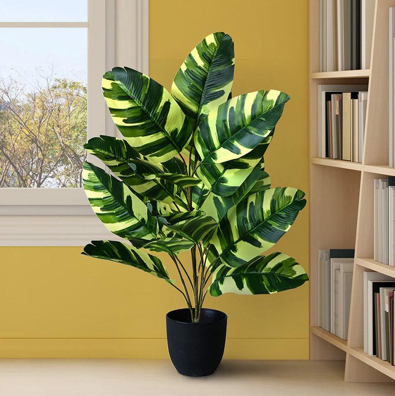 Buy Faux Everlasting Calathea zebrina Plant With Pot - 2.6 Feet Artificial Plants from Vaaree