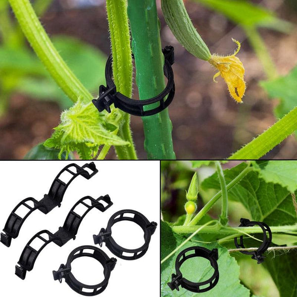 Buy Plant Pro Garden Clip (Black) - Set Of Fifty Garden Accessories from Vaaree