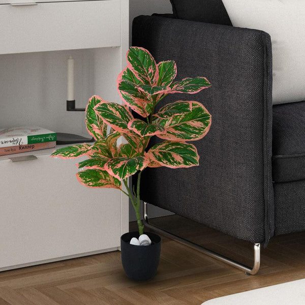 Buy Faux Everlasting Aglaonema Creta Plant With Pot - 2.5 Feet Artificial Plants from Vaaree