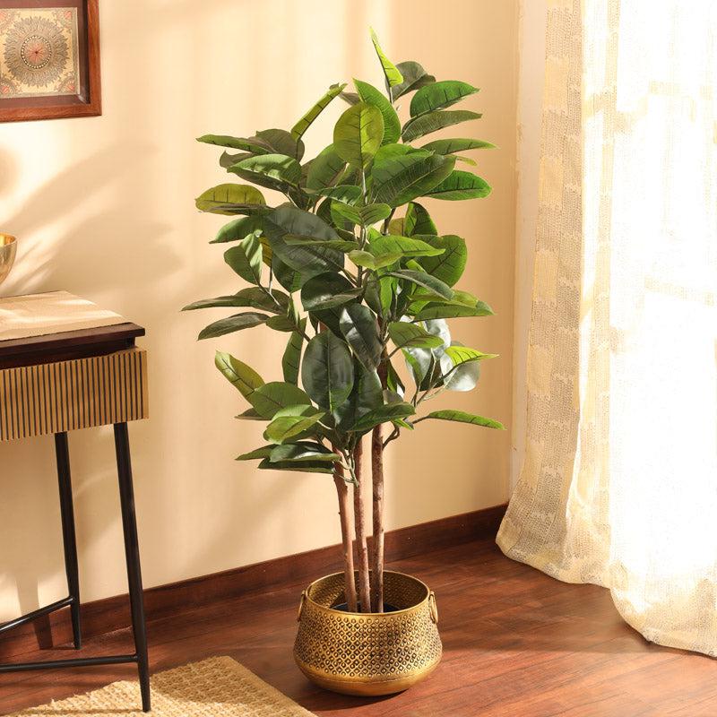 Buy Faux Realistic Rubber Tree With Pot - 3.9 Feet Artificial Plants from Vaaree