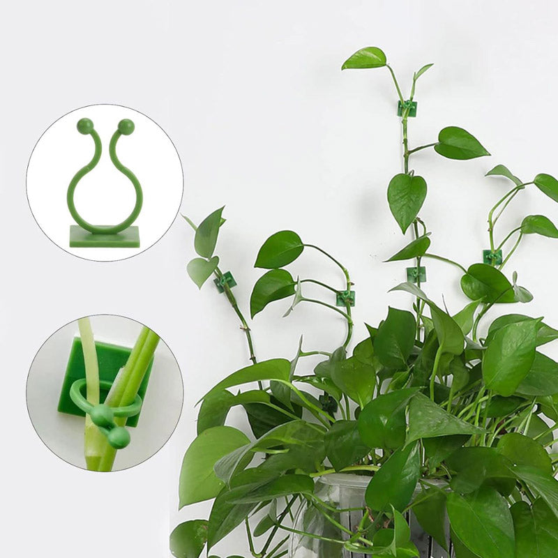 Buy Green Mate Garden Clip - Set Of Thirty Garden Accessories from Vaaree