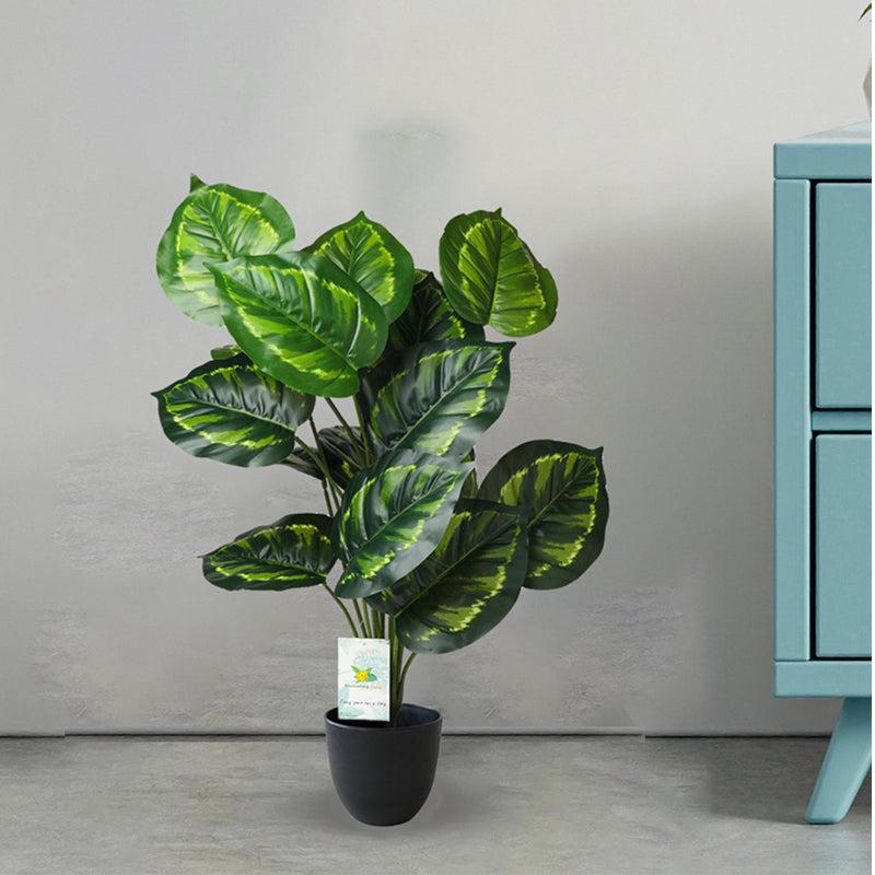 Buy Faux Everlasting Cardinal Philodendron Plant With Pot - 2.5 Feet Artificial Plants from Vaaree