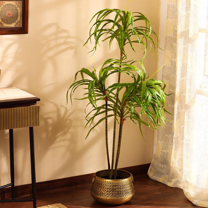 Buy Faux Realistic Dracaena Plant With Pot - 4.9 Feet Artificial Plants from Vaaree