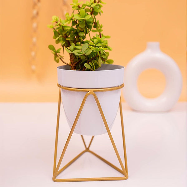 Buy Crosa Planter With Stand Pots & Planters from Vaaree