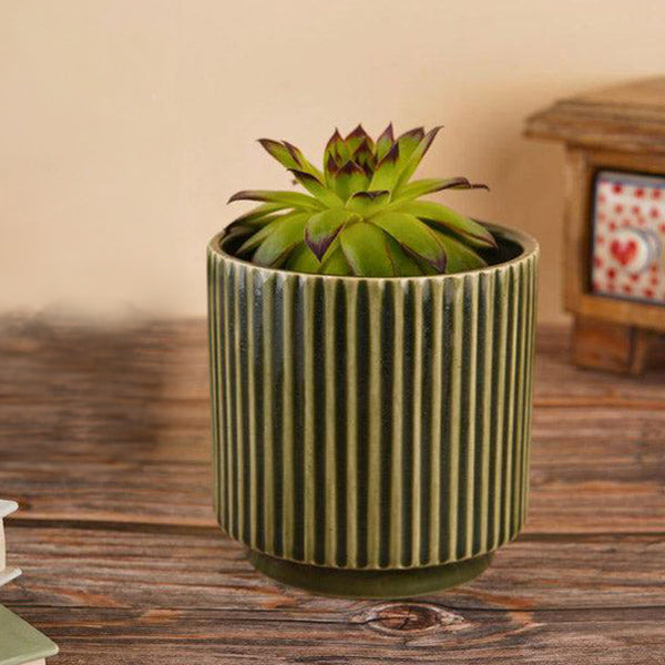 Buy Ahanay Ribbed Planter (Olive Green) -Single Piece Pots & Planters from Vaaree