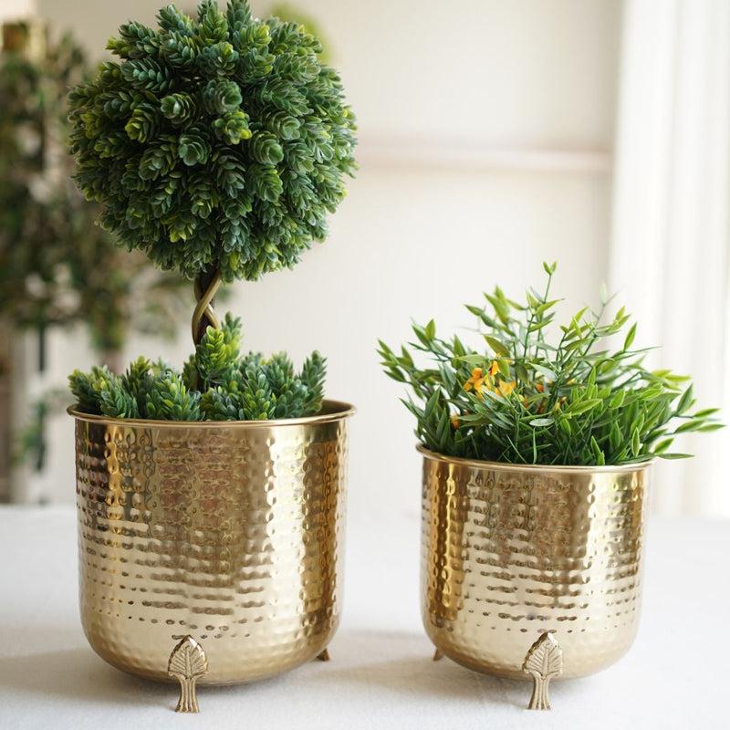 Buy Finasa Metal Hammered Planter (Gold) - Set Of Two Pots & Planters from Vaaree